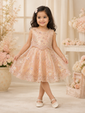 Kids festive gown for girls