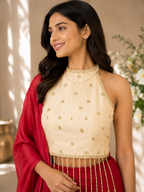Custom-made saree to sharara festive ensemble